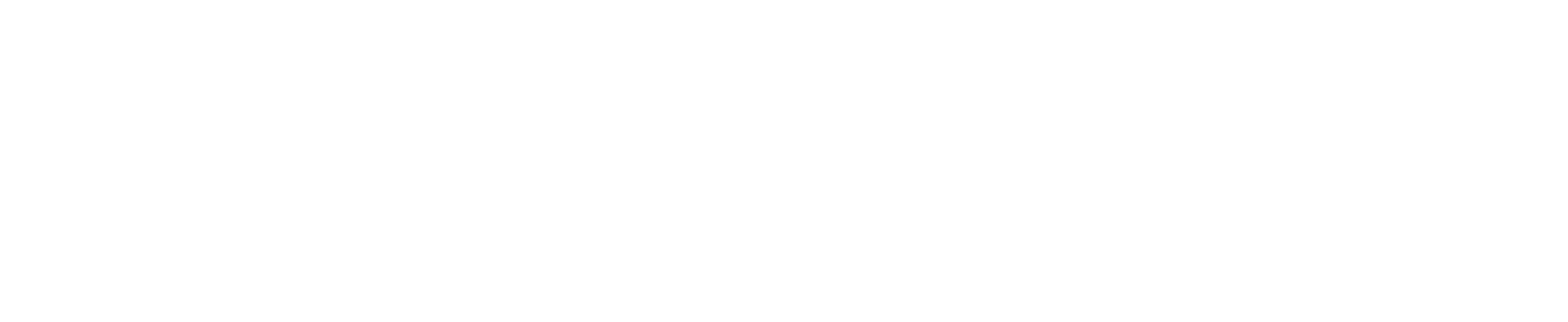 Logo DISC